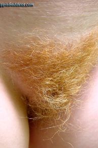 Close Up Pic Of Curly Redhead Pubes